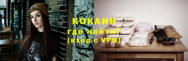 сатива Арсеньев
