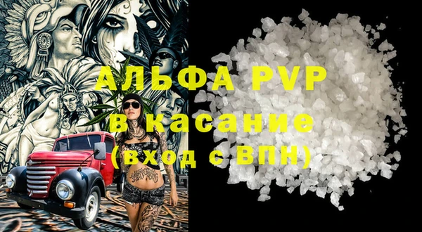 сатива Арсеньев