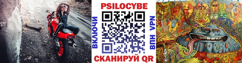 Галлюциногенные грибы GOLDEN TEACHER наркотики Ясногорск