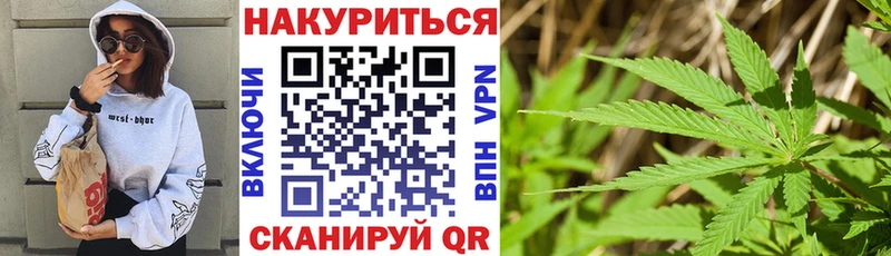 Бошки Шишки Amnesia  мега как зайти  Ясногорск 
